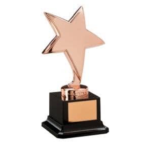 Picture of Bronze Challenger Star