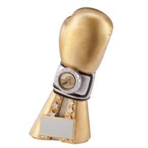Picture of The Golden Glove