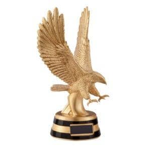 Picture of The Motion Eagle